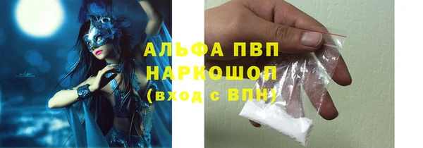 дмт Белокуриха