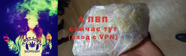 амф Беломорск