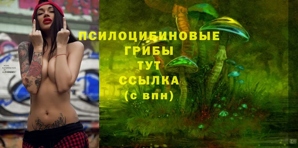 амф Беломорск