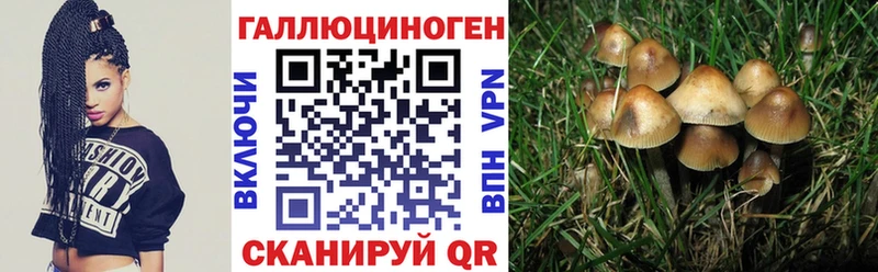 даркнет состав  Чайковский  Галлюциногенные грибы ЛСД  сколько стоит 