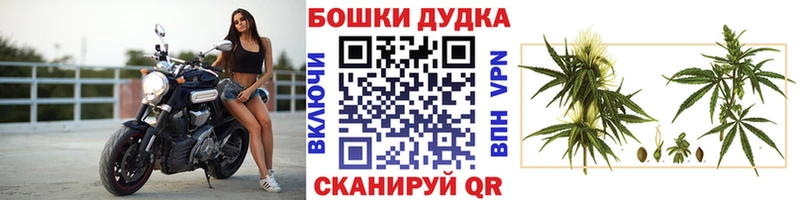 где купить наркотик  Чайковский  Канабис OG Kush 